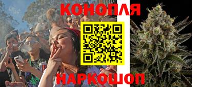 Альфа ПВП Донской