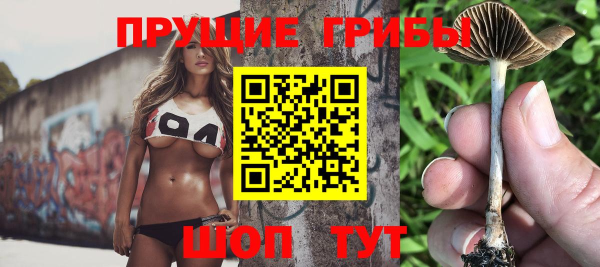 Назрань  Галлюциногенные грибы Psilocybe  Вход с VPN 